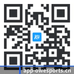 系统版 iOS 二维码